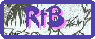 rtb banner